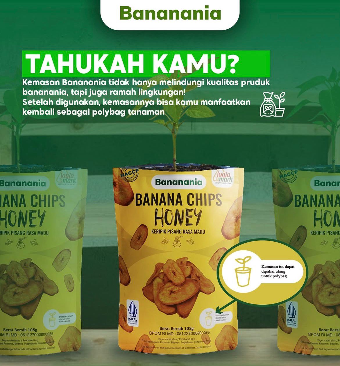 Dari Dapur Kecil ke Mancanegara: Kripik Bananania, Inspirasi Hampers Ramadan 1447 H